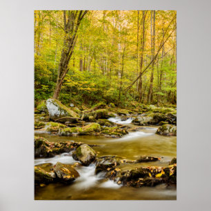Big Bäck North Carolina Poster