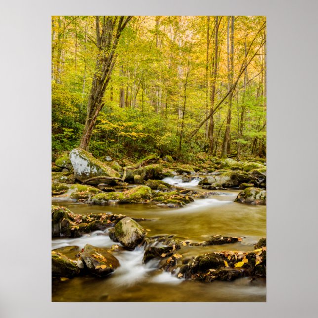 Big Bäck | North Carolina Poster (Framsidan)
