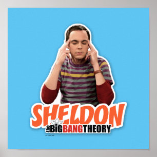 Big Bang Teory Sheldon Poster