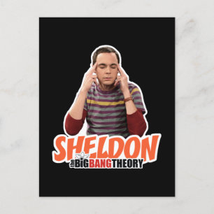 Big Bang Teory   Sheldon Vykort