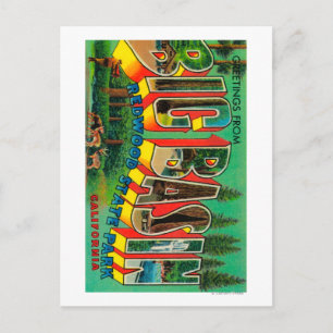 Big Basin, Kalifornien - Stora Brev Scenes Vykort