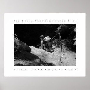 Big Basin Redwood State Park Poster