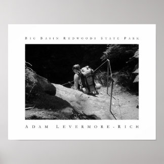 Big Basin Redwood State Park Poster