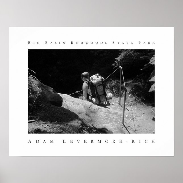 Big Basin Redwood State Park Poster (Framsidan)