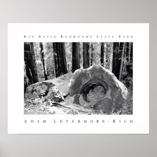 Big Basin Redwood State Park Poster
