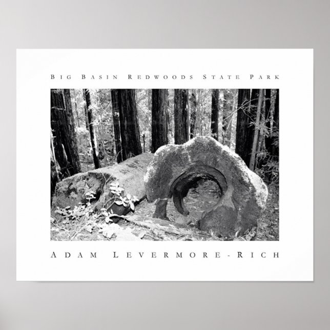Big Basin Redwood State Park Poster (Framsidan)