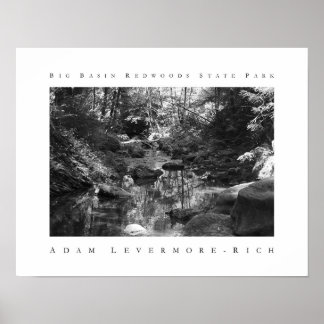 Big Basin Redwood State Park Poster