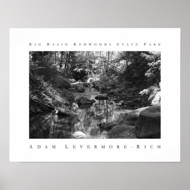 Big Basin Redwood State Park Poster (Framsidan)