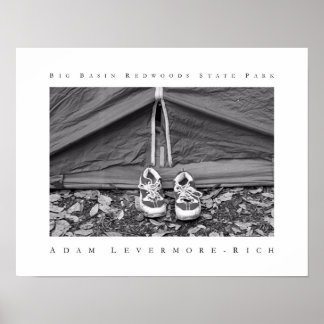 Big Basin Redwood State Park Poster