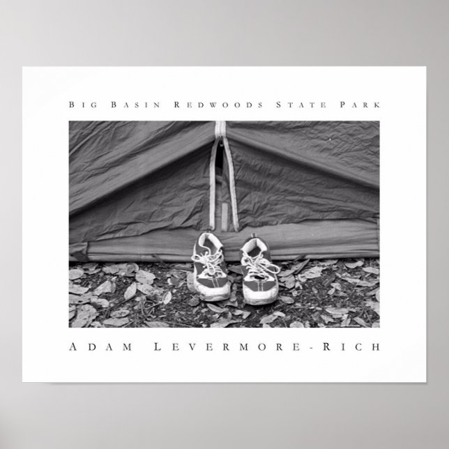 Big Basin Redwood State Park Poster (Framsidan)