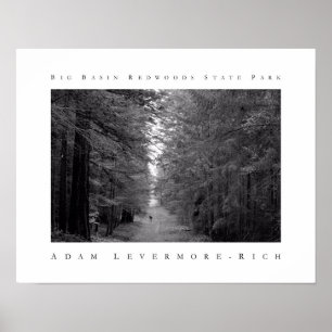 Big Basin Redwood State Park Poster