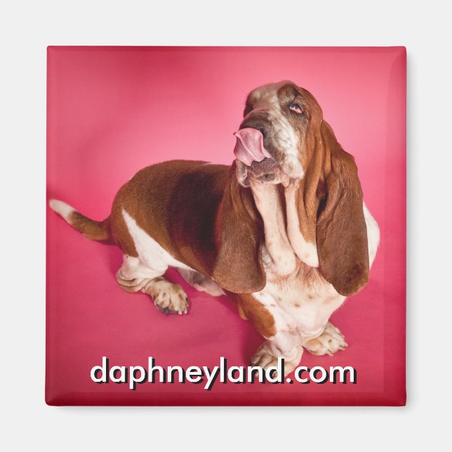 Big Basset Kiss Magnet (Framsidan)