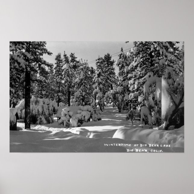 Big Bear Sjö, CA i Winter Snö View Poster (Framsidan)