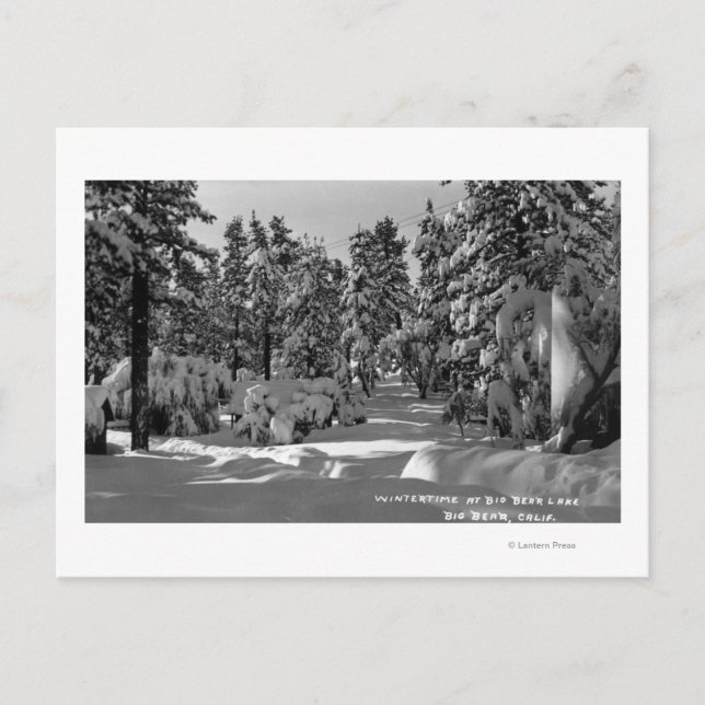 Big Bear Sjö, CA i Winter Snö View Vykort (Framsida)