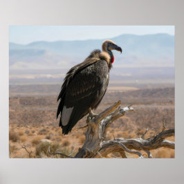 Big Beautiful Bird Poster