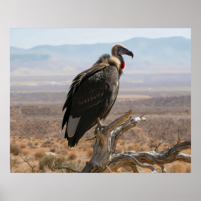 Big Beautiful Bird Poster (Framsidan)