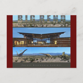 BIG BEND NAT’L PARK-Texas-Fossil Exhibit- Vykort