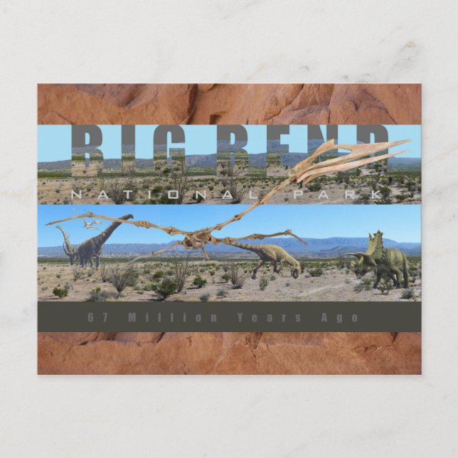 BIG BEND NAT'L PARK-Texas-Fossil Discovery Exhibit Vykort (Framsida)