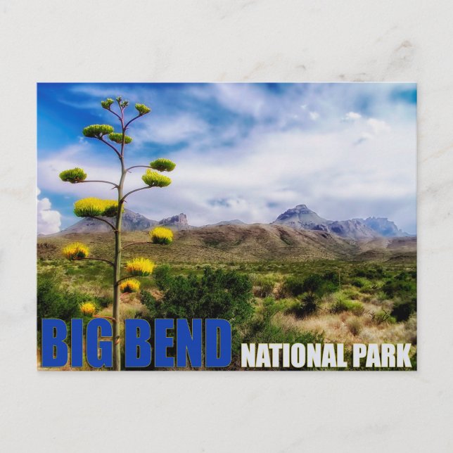 Big Bend Texas U.S. National Park Post Card Vykort (Framsida)