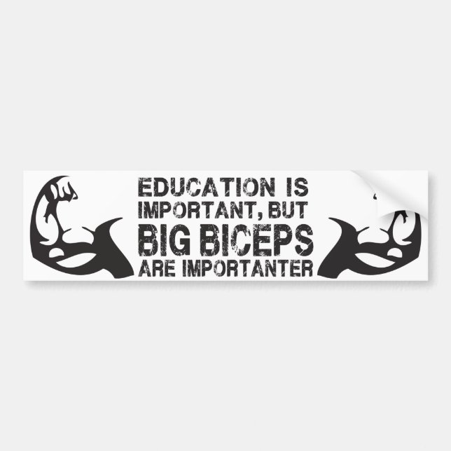 Big Biceps är Importanter - Funny Bumper Sticker Bildekal (Framsidan)