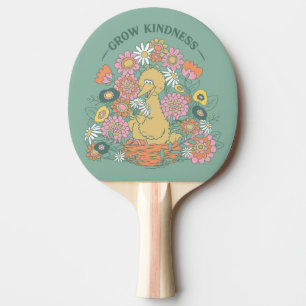 Big Bird   Blommigt för att öka skindheten grafik Pingisracket