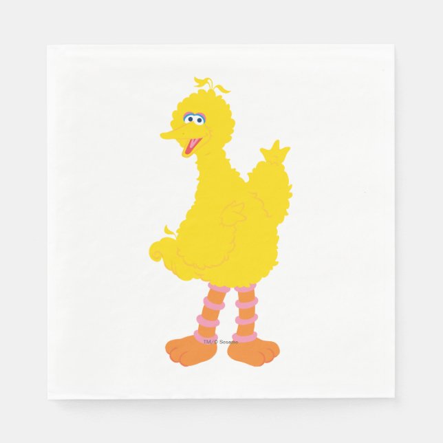 Big Bird Graphic Pappersservett (Framsidan)