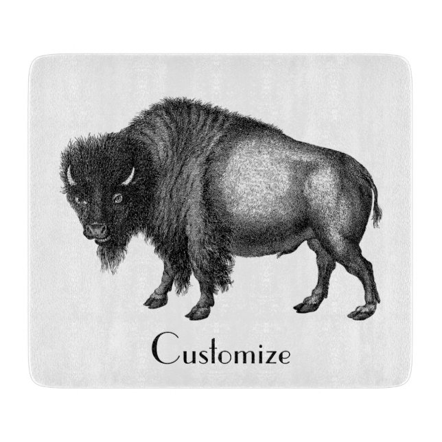 Big Bison Buffalo Thunder_Cove (Framsidan)