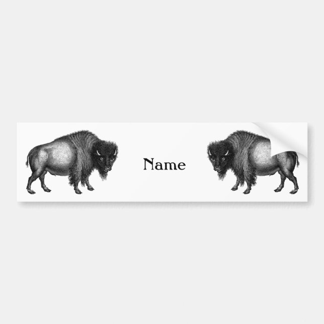 Big Bison Buffalo Thunder_Cove Bildekal (Framsidan)