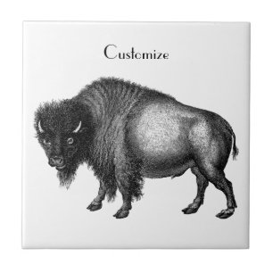 Big Bison Buffalo Thunder_Cove    Kakelplatta