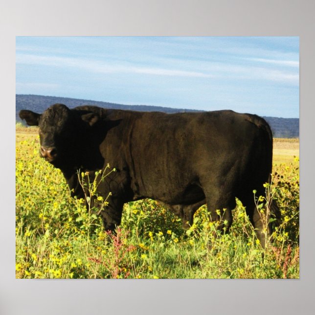 Big Black Bull in Sunblommor - Toro - Taurus Poster (Framsidan)