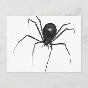Big Black Creepy 3D Spider Vykort