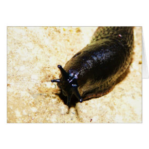 Big Black Slug Hälsningskort