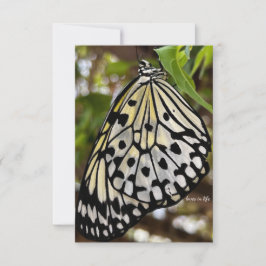 Big Black & White Butterfly Anteckningskort