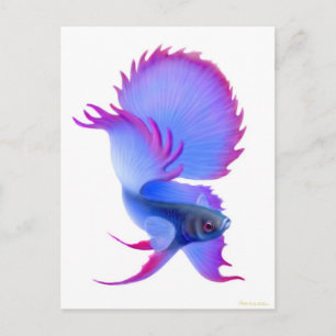 Big Blue Betta Fish Vykort