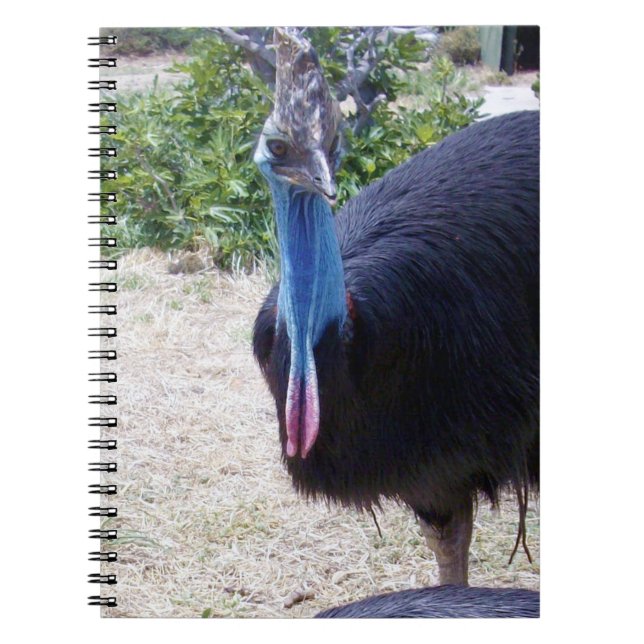 Big Blue Cassowary Bird Anteckningsbok (Framsidan)
