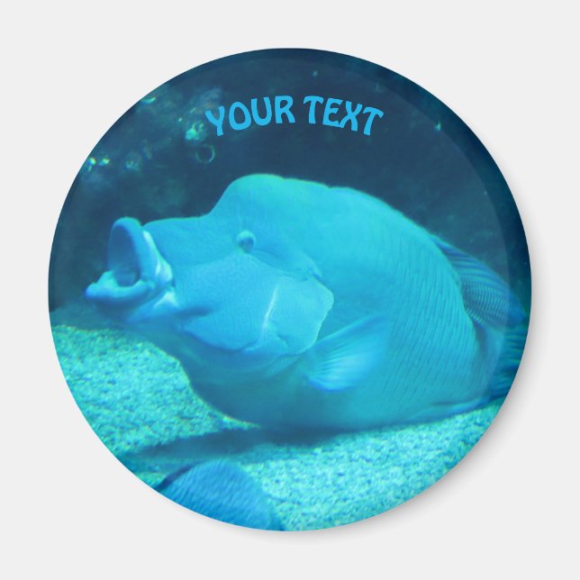 Big Blue Fish Magnet (Framsidan)