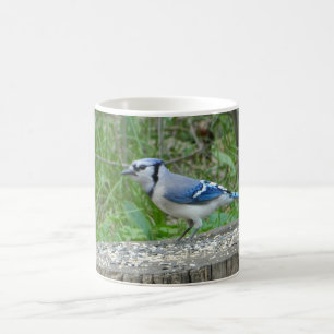 Big Blue Jay Mugg