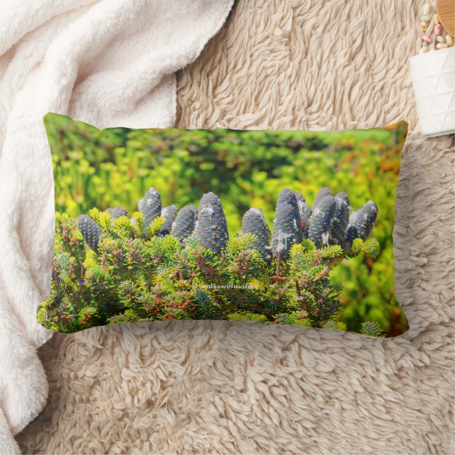 Big Blue Korean Fir and Cones Lumbarkudde (Filt)