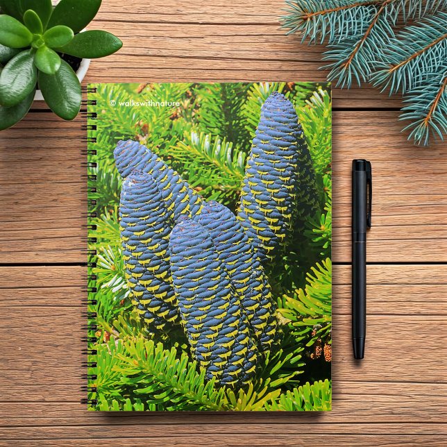 Big Blue Koreansk Fir Cones Anteckningsbok Med Spiral (Big Blue Korean Fir Pinecones Journal Cover Photo)