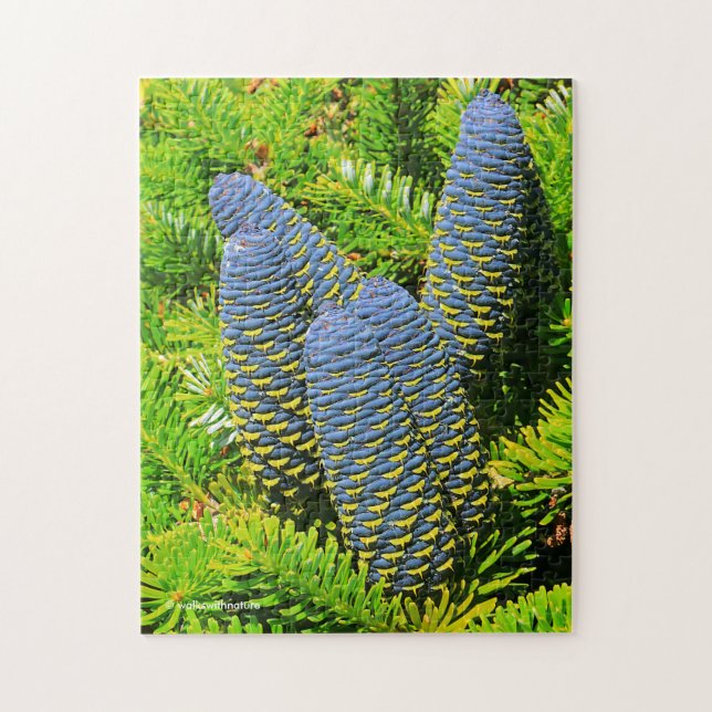 Big Blue Koreansk Fir Cones Pussel (Vertikal)