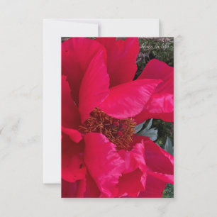 Big Bold Red Peony Anteckningskort