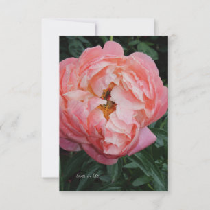 Big Bold Rosa Peony Anteckningskort