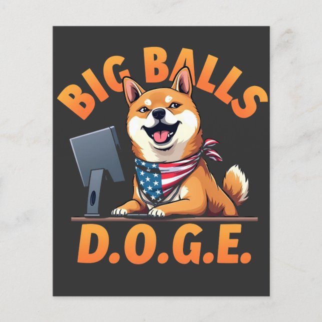 Big Bollar Doge Department of Government Efficienc Flygblad (Framsidan)