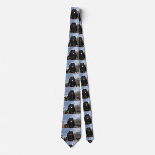 Big Boy 4014 Kansas Slips