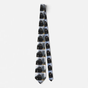 Big Boy 4014 Kansas Slips