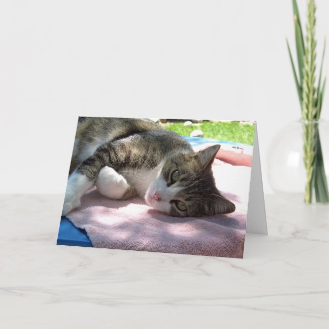 Big Boy Cat Relaxing Birthday Card Kort (Framsida)