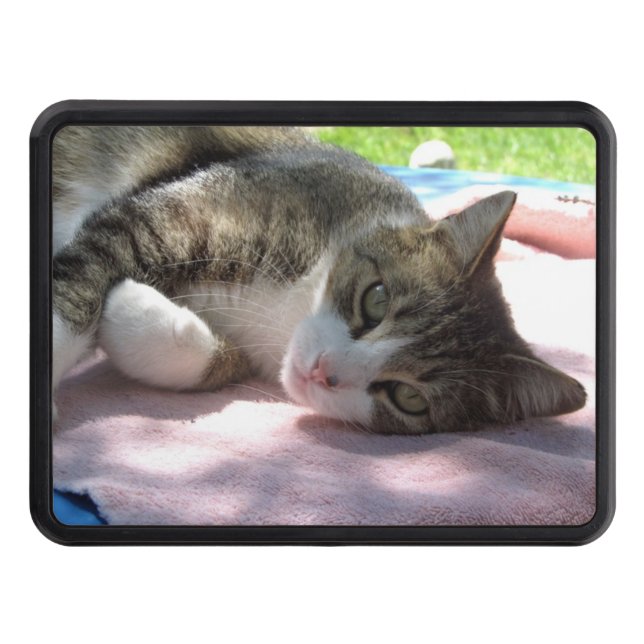 Big Boy på Bord Trailer Hitch Cover Dragkroksskydd (Framsidan)