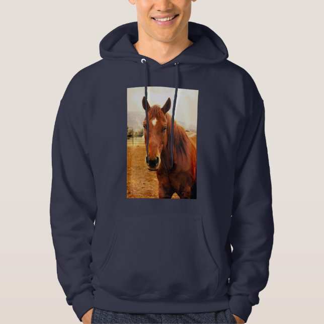 Big Braxton Hoodie Sweatshirt (Framsida)