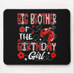 Big Brother of the Birthday Girl Ladybug Big Broth Musmatta<br><div class="desc">Big Brother of the Birthday Girl Ladybug Big Brother Kryp T-shirt.png</div>