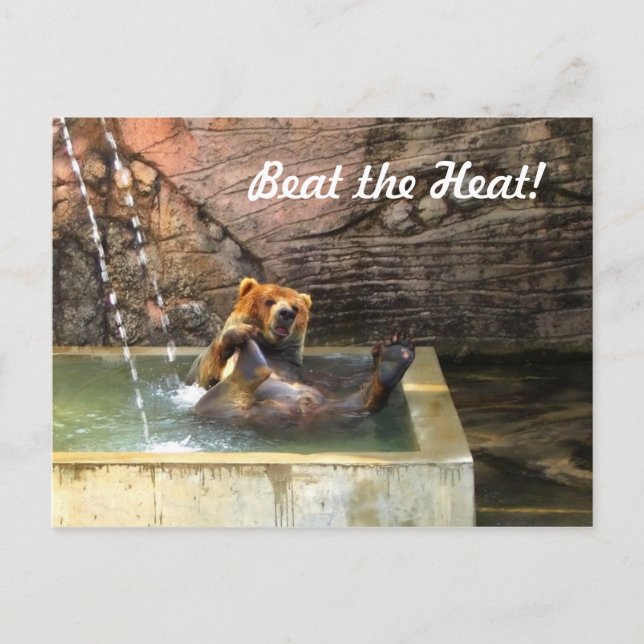 Big Brown Bear tar en bath Vykort (Framsida)